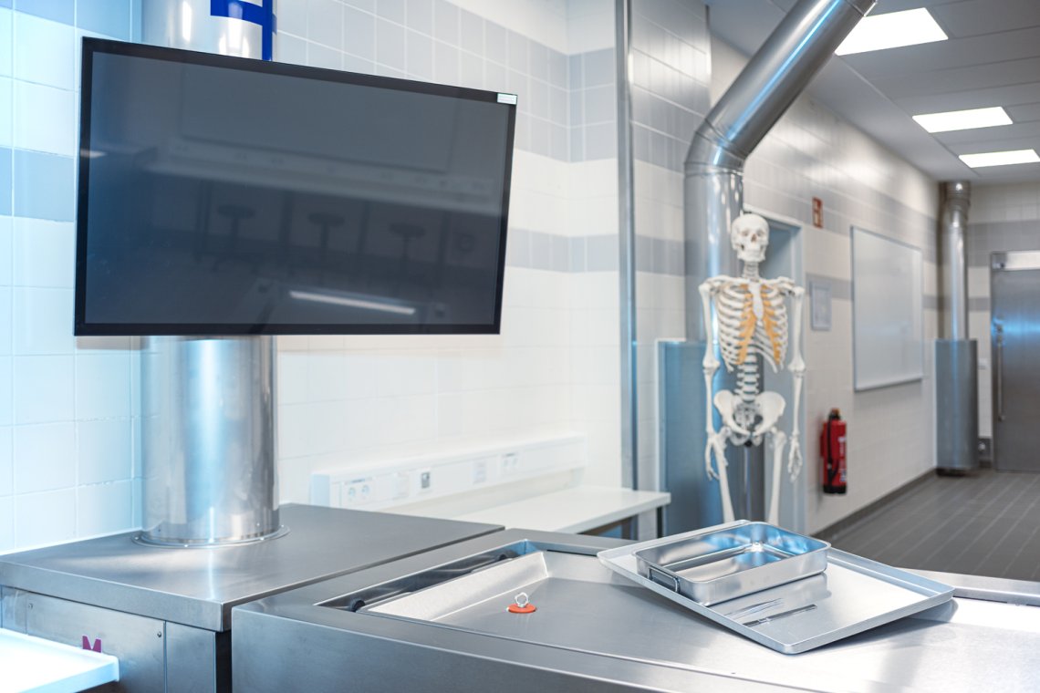 Anatomie 1