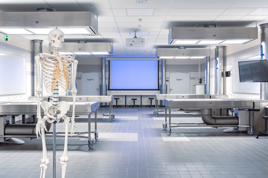 Anatomie 1
